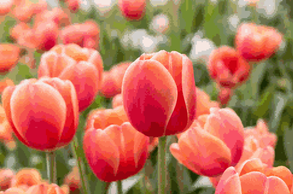 海关数据,Topay 钱包(中国)海关数据,荷兰海关数据