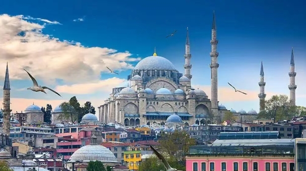 从海关数据看，土耳其进口中国最多的产品有哪些？